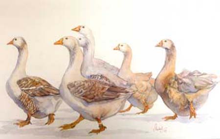 Geese 2
