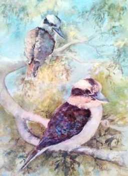 Kookaburras