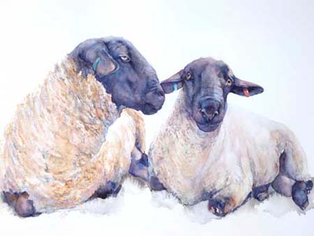 Secret Mens Business - Suffolk-Rams